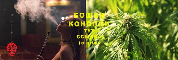 спайс Ладушкин