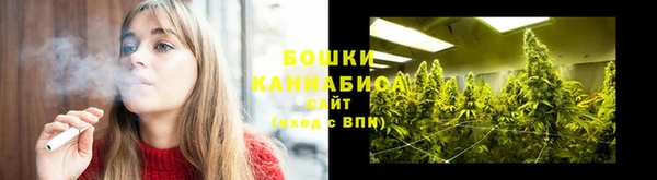 дмт Лабытнанги
