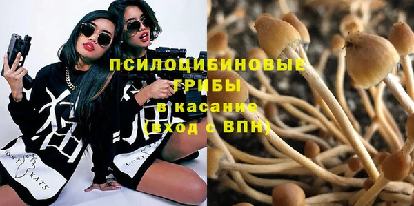 спайс Ладушкин
