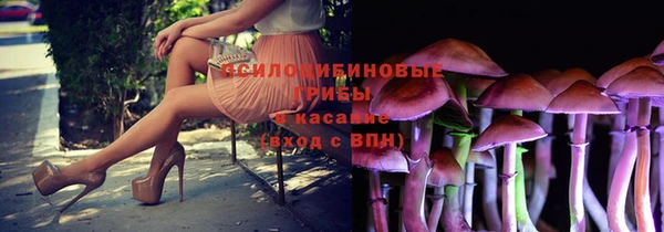 спайс Ладушкин